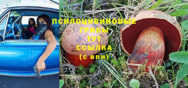 трава Баксан
