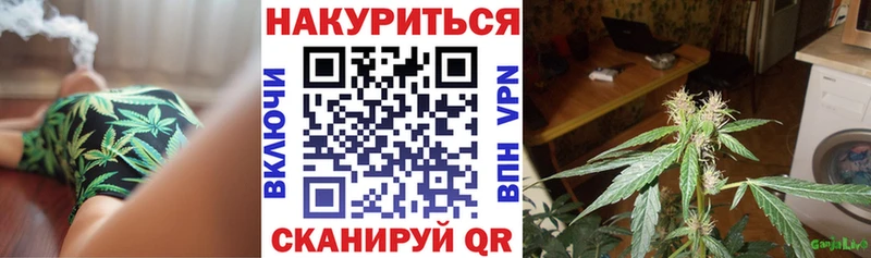где можно купить   Советск  МАРИХУАНА семена 
